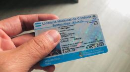 Licencias de conducir: ¿Hasta cuando se puede acceder a la reimpresión?
