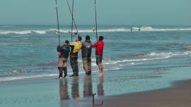 Tras un breve paréntesis, retoma los concursos en todo el país, con un calendario muy cargado en el cierre de octubre.
