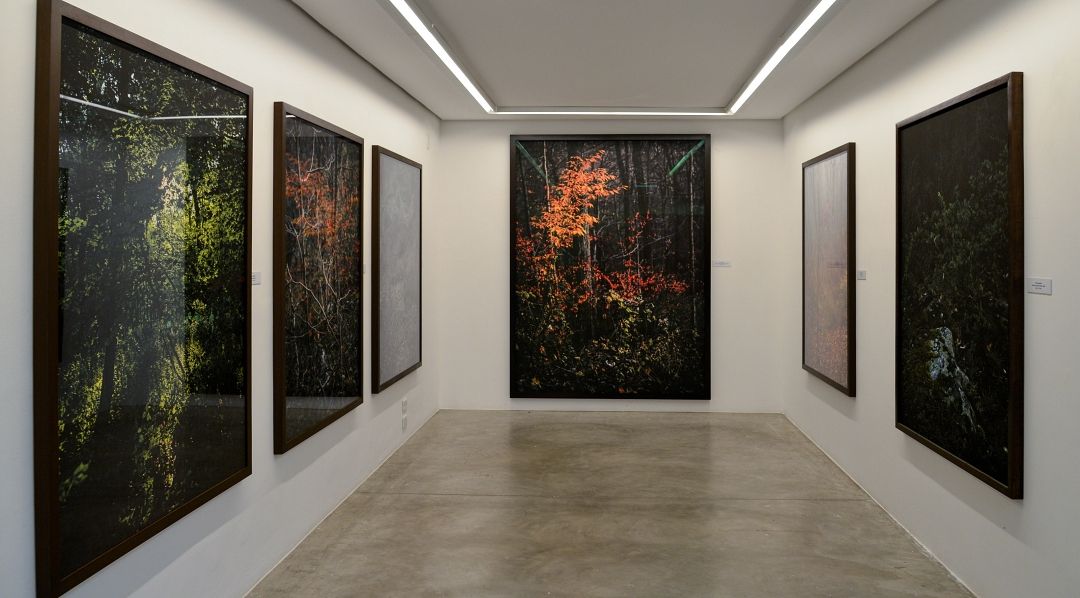 Detalle de la expo 'Una flor no es una flor', de Edo Costatini en la Galería Mario Cohen, en San Pablo.