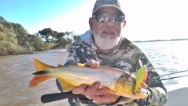 Los dorados preferían cazar en aguas quietas, algo a tener en cuenta, en contrapartida a lo que siempre esperamos.