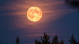 Es el último espectáculo astral de octubre.