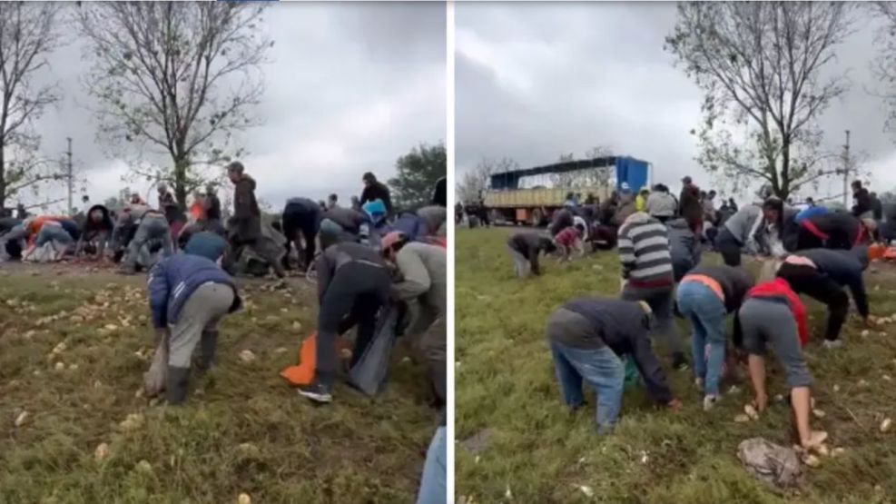 Tucumán: vecinos robaban las papas de un camión y fueron dispersados con balazos de goma