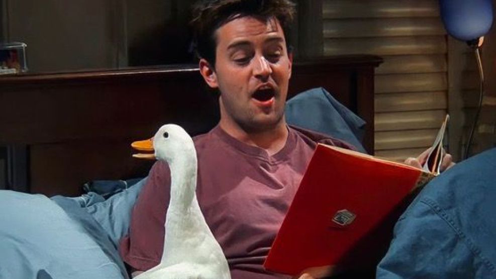 El pato que habían adoptado Chandler y Joy en Friends, una escena de antología.
