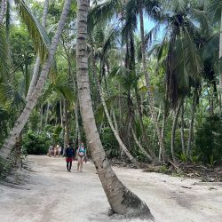 Isla Saona, cerca de Punta Cana, una reserva natural de 110 km de extensión a la que se llega exclusivamente en excursión.