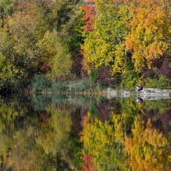 Un hombre lee un periódico mientras los árboles de colores otoñales se reflejan en la superficie del lago Max-Eyth en Stuttgart, suroeste de Alemania. | Foto:THOMAS KIENZLE / AFP