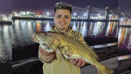 Palometas y pescadillas son las especies predominantes en este momento, aunque las corvinas están en ascenso.