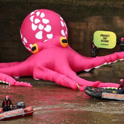 Se muestra un pulpo inflable gigante en la orilla del río Támesis, debajo de las Cámaras del Parlamento británico, durante una acción convocada por la ONG ambientalista Greenpeace como parte de una campaña para proteger los océanos, en el centro de Londres. | Foto:HENRY NICHOLLS/AFP