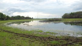 Pero la intensa y prolongada sequía que se extendió desde 2020 a la fecha, y empieza a revertirse, causó que sólo quedaran con agua 5.080 lagunas.