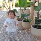Los Dos Pinos Garden
