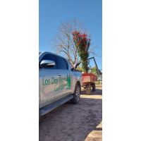 Los Dos Pinos Garden