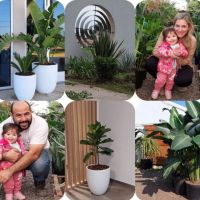 Los Dos Pinos Garden