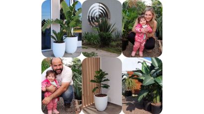 Los Dos Pinos Garden