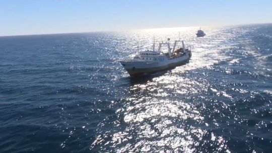 Hay que administrar la pesca industrial