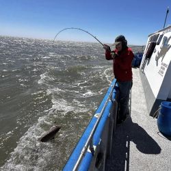 Desde octubre, se afianza la pesca en un destino que enamora a los pescadores de todo el país.