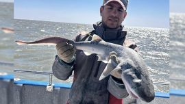 El caudal de los ríos Paraná y Uruguay condicionaron a los pescadores, aunque en el mar, lagunas como canales y arroyos, fueron una excelente alternativa.