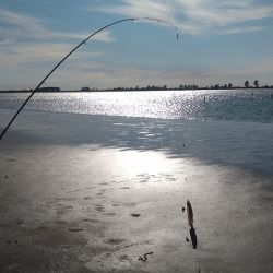 No son muchas las chances de pescar de orilla a pie seco, algo que se puede practicar en este ámbito que acceden por ruta 5. 