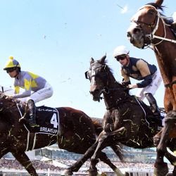Los jinetes compiten en la carrera de caballos de la Copa Melbourne de 6 millones de dólares en el hipódromo de Flemington en Melbourne. | Foto:William West / AFP