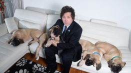 Javier Milei con sus perros, clones de Conan