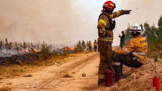 Incendios en Córdoba: bomberos y tres aviones hidrantes combaten un foco en San Pedro Viejo