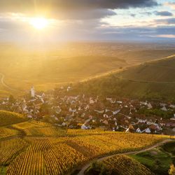 Esta fotografía aérea muestra los viñedos que rodean el castillo de Wineck con vistas al pueblo alsaciano de Katzenthal, al amanecer. | Foto:PATRICK HERTZOG / AFP