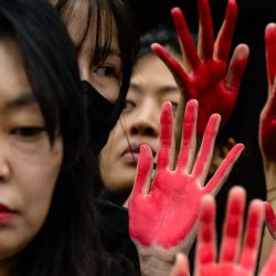 Los manifestantes hacen gestos con sus manos pintadas de rojo durante una protesta en solidaridad con el pueblo palestino frente al Ministerio de Asuntos Exteriores de Corea del Sur (MOFA) en Seúl. | Foto:ANTHONY WALLACE / AFP