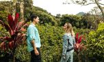 ¿Te gusta el café? Panamá tiene una ruta que recorre fincas y montañas para descubrir el sofisticado Geisha