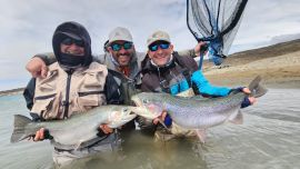 Al sur del país encontramos este majestuoso sitio que atesora enormes peces.