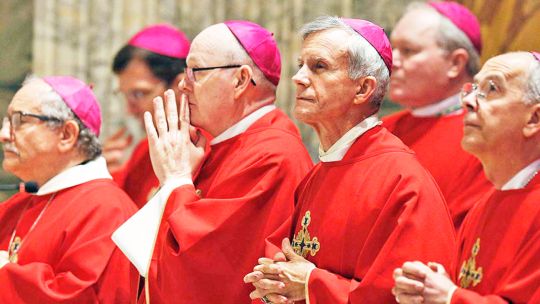 Asesor del Papa Francisco dijo que la iglesia debería evaluar el matrimonio de los sacerdotes