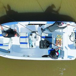 Buen espacio interior para desplazarse en toda la eslora, navegación con poca potencia y buena ergonomía a bordo con espacios especiales para la pesca.