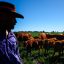 United States unveils plan to bolster beef output, raises Argentine quota