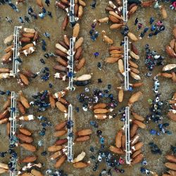 Esta fotografía aérea muestra a personas visitando un mercado de ganado en la prefectura autónoma de Qianxinan Buyei y Miao, en la provincia de Guizhou, al suroeste de China. | Foto:AFP