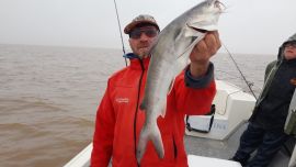 Hay que tener cuidado con la manipulación de estos ejemplares, ya que poseen chuzas, las que son muy ponzoñosas en caso de pincharnos.