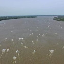  La decisión tomada se debe a la crecida del río Paraná y las previsiones de un escenario adverso en lo climático.