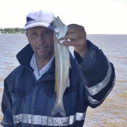Alternativas cercanas a CABA para disfrutar a pocos minutos de viaje. 
