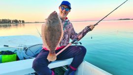 1116_ contenidos_diciembre