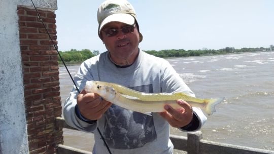 1711_mapa_pique_pesca