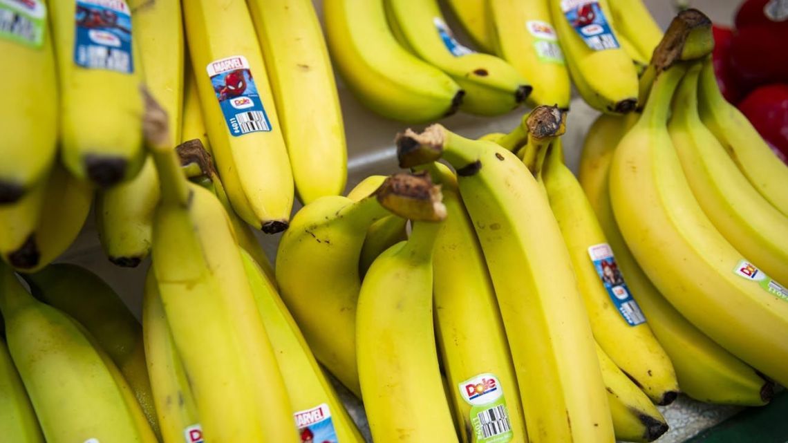 Yes, Argentina has no bananas.