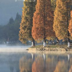 Vista aérea del paisaje de principios de invierno en el Parque del Lago Guanshan, en la ciudad de Guiyang, en la provincia de Guizhou, en el suroeste de China. (Xinhua/Li He) (oa) (ra) (da) | Foto:Xinhua