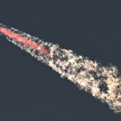El cohete Starship de SpaceX se lanza desde Starbase durante su segundo vuelo de prueba en Boca Chica, Texas. | Foto:TIMOTHY A. CLARY / AFP