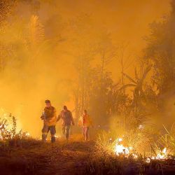Voluntarios y bomberos combaten los incendios que se salieron de control durante la quema de bosques y pastos con fines agrícolas en Rurrunabaque, departamento de Beni, Bolivia. | Foto:Cristian Castro / AFP