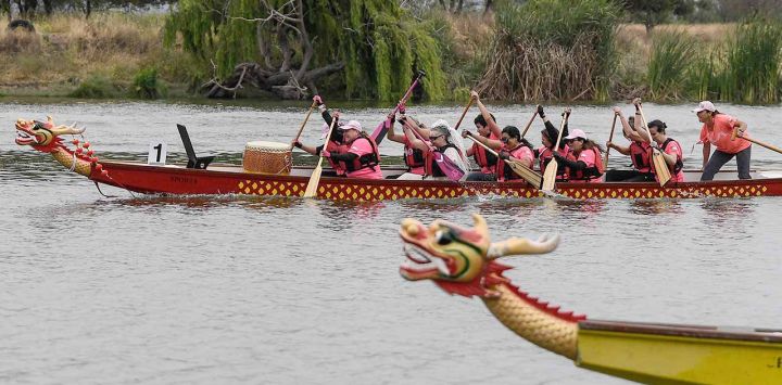 SANTIAGO, Competidoras participando en la primera competencia de bote de dragón, en la laguna Carén de Santiago, Chile. Chile celebró el domingo la primera competencia de bote de dragón, con una carrera de canotaje protagonizada por las Remadoras Rosas, un movimiento internacional de mujeres que sobrevivieron al cáncer de mama y practican el deporte chino como terapia. (Xinhua/Jorge Villegas) (jv) (oa) (ah) (vf)