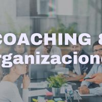 Coaching Organizacional y Ejecutivo