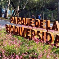 Los ejemplares fueron trasladados hasta el Parque de la Biodiversidad de la ciudad de Córdoba.