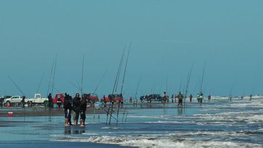 2311_competencias