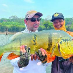 Cichla temensis, la especie de tucunaré que alcanza mayor porte. Es increíble cómo semejantes torpedos viven en aguas rasas del alto río Juma. 