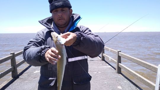2411_mapa_pique_pesca