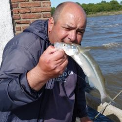 Los últimos pejerreyes dan paso a la variada de piel, los doradillos, y las lisas. Tiempos de cambio en el río de aguas color león, tan castigado como benévolo con el pescador deportivo.