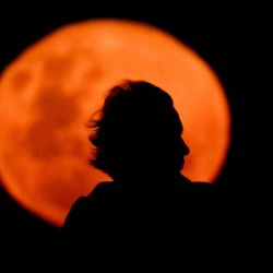 El perfil de un hombre se recorta contra la "luna del castor", como se conoce a la luna llena de noviembre, en Buenos Aires. Foto de Luis ROBAYO / AFP  | Foto:AFP