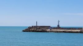 Las autoridades recomendaron a la población seguir manteniendo distancia con los animales y evitar el contacto.