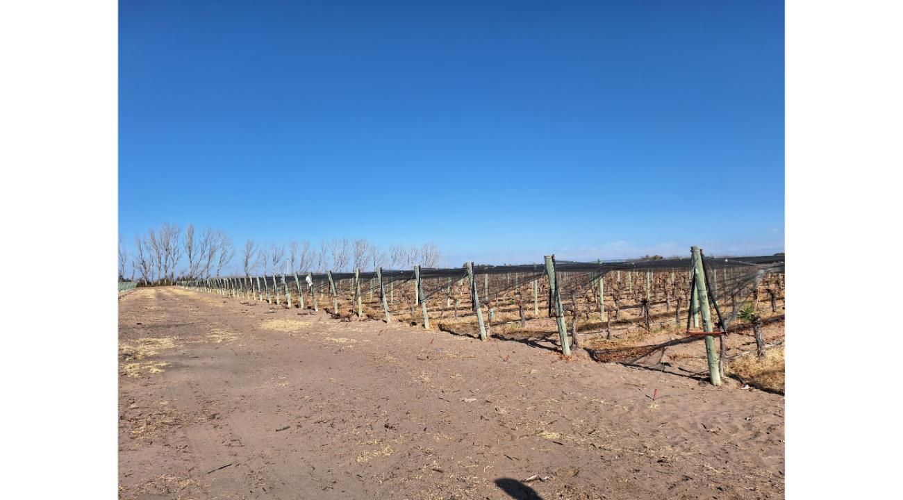 Bodega Alonso Guerrero